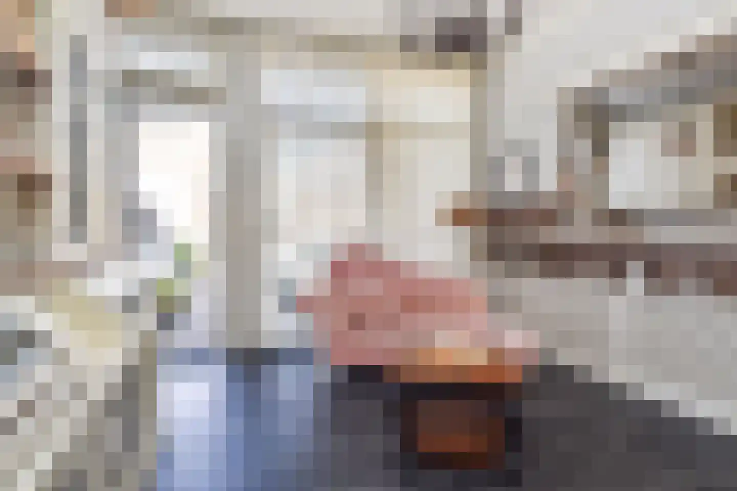 Badhuisstraat 21 Den Haag thumbnail 9