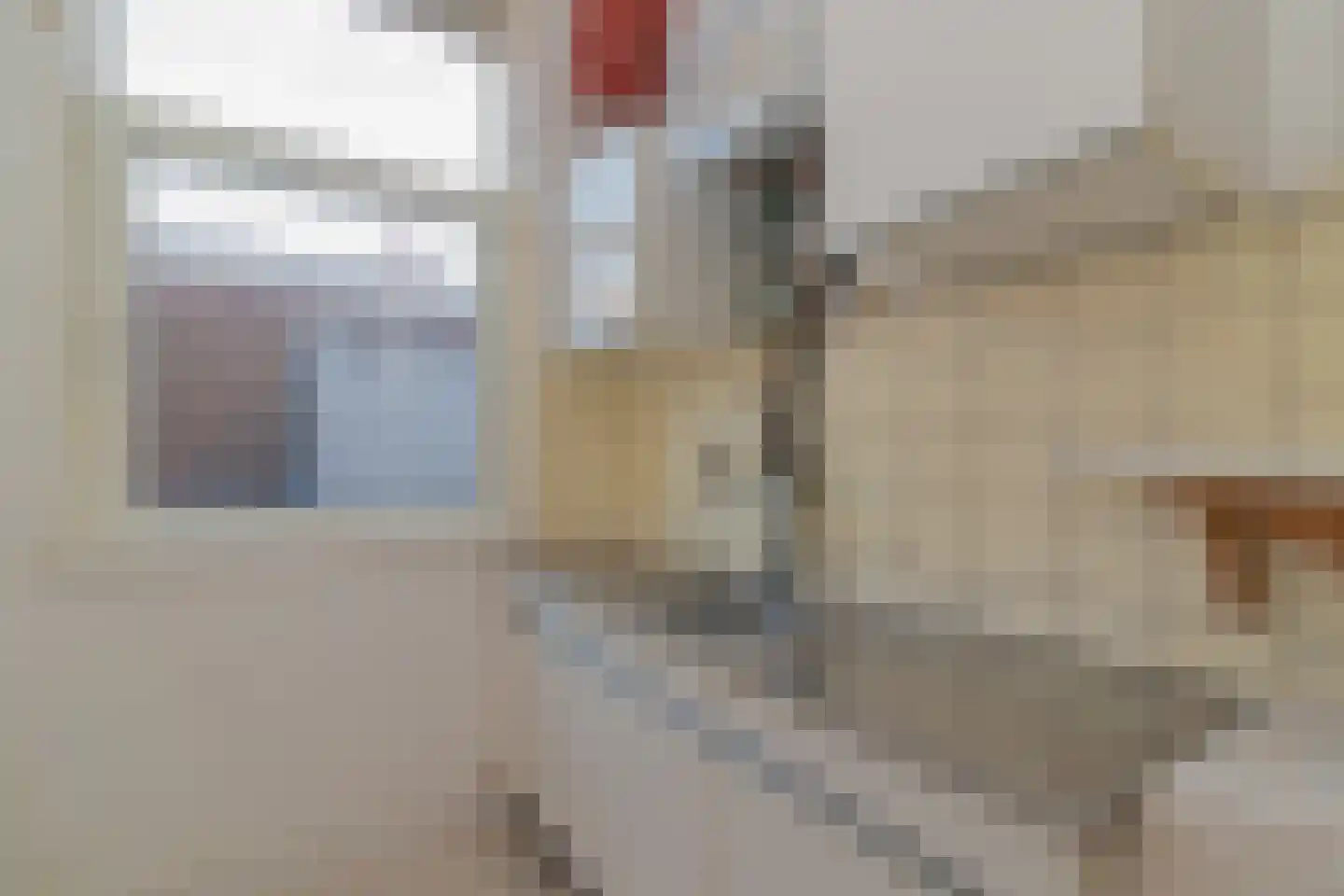 Badhuisstraat 214 Den Haag thumbnail 17