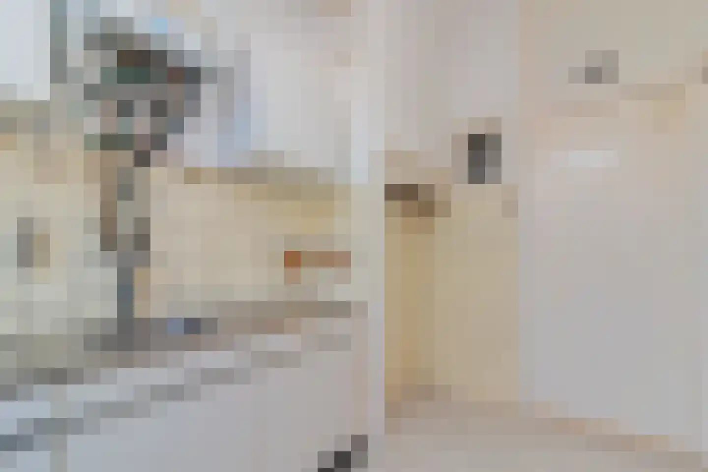 Badhuisstraat 214 Den Haag thumbnail 18