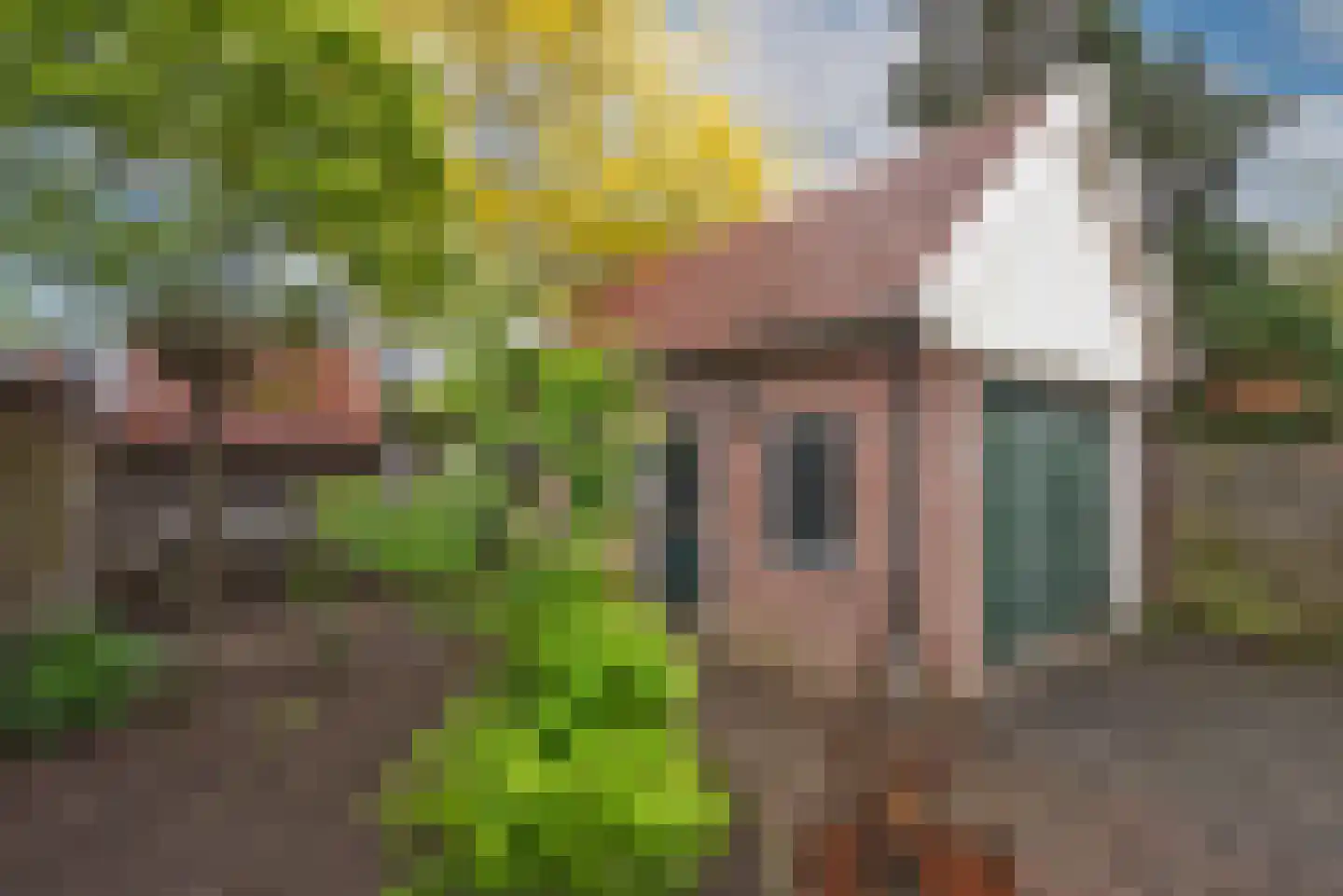 Badhuisstraat 23 Hengelo thumbnail 24