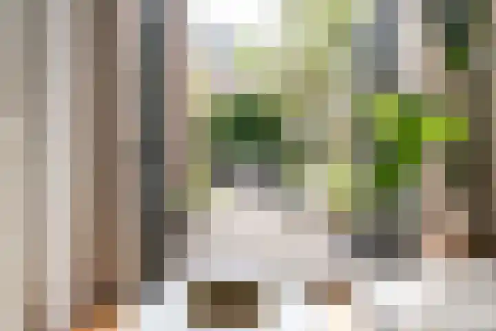 Badhuisstraat 26 ZW Haarlem thumbnail 6
