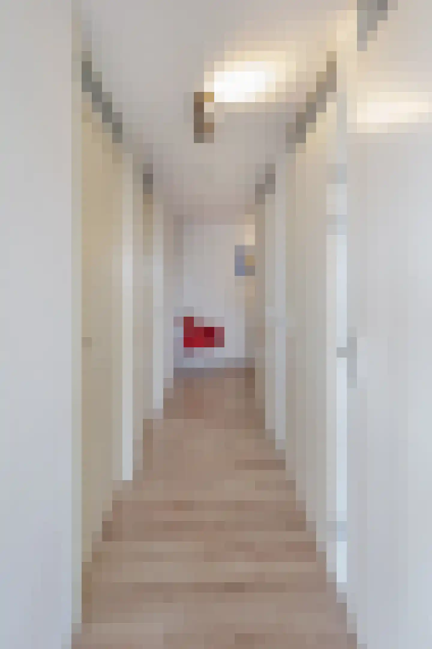 Badhuisstraat 276 Den Haag thumbnail 6