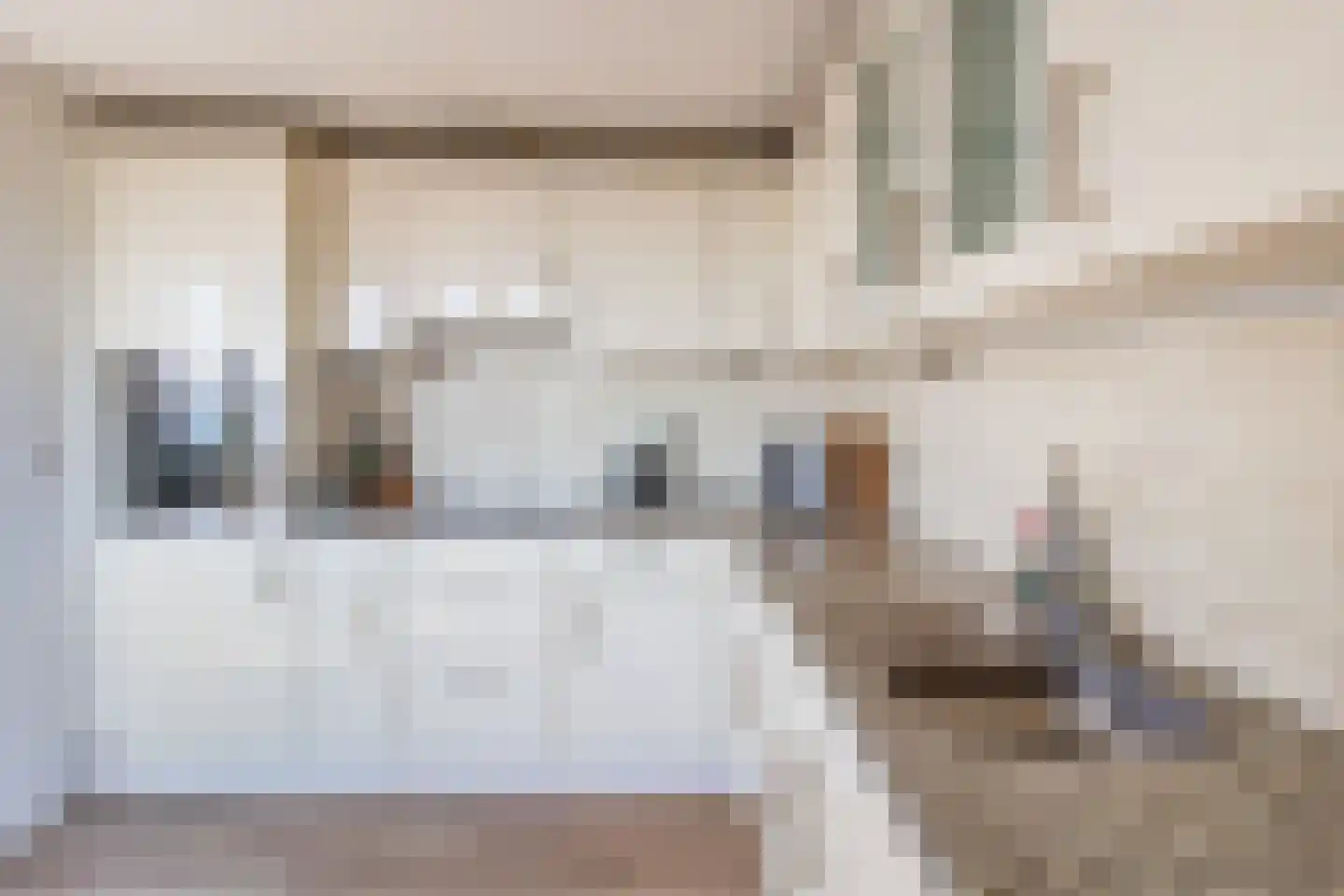 Badhuisstraat 276 Den Haag thumbnail 9