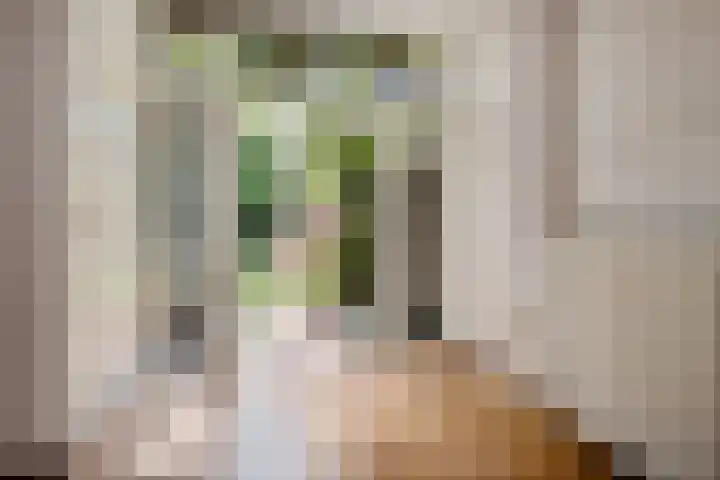 Badhuisstraat 28 ZW Haarlem thumbnail 10