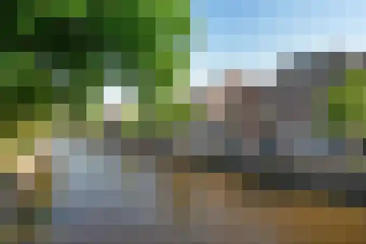 Badhuisstraat 28 ZW Haarlem thumbnail 33