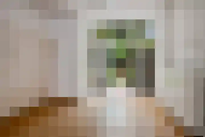 Badhuisstraat 28 ZW Haarlem thumbnail 9