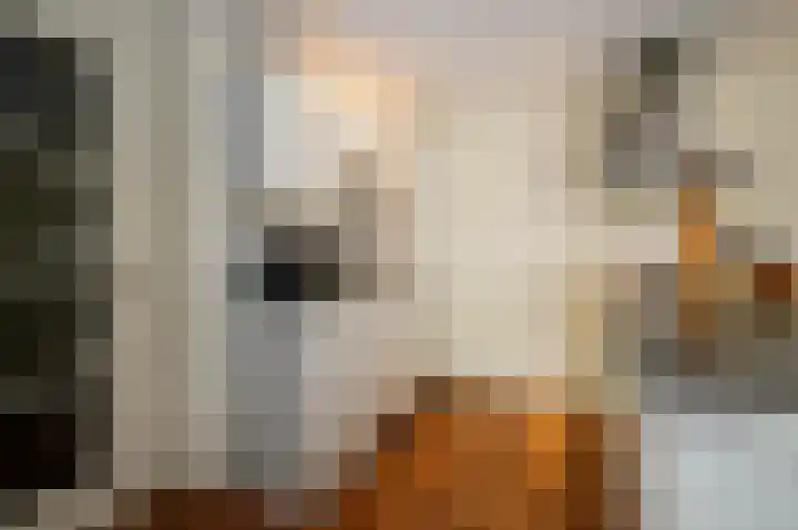 Badhuisstraat 3 Bergambacht thumbnail 10
