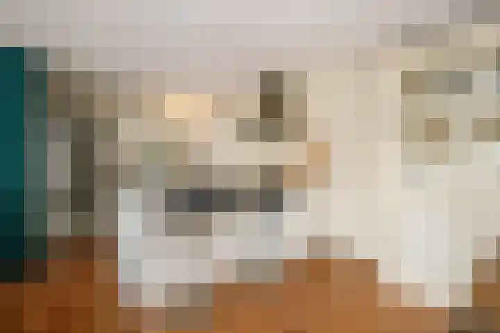 Badhuisstraat 3 Bergambacht thumbnail 12
