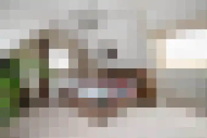 Badhuisstraat 3 Bergambacht thumbnail 25