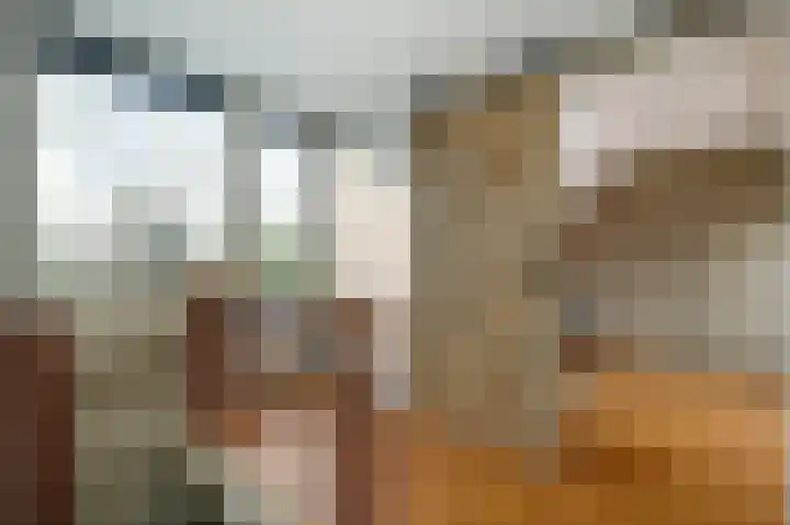 Badhuisstraat 3 Bergambacht thumbnail 26