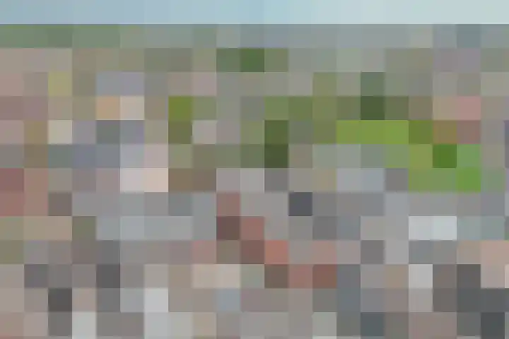 Badhuisstraat 3 Bergambacht thumbnail 36
