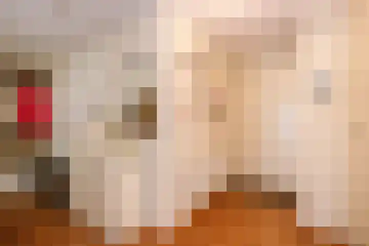 Badhuisstraat 3 Bergambacht thumbnail 9