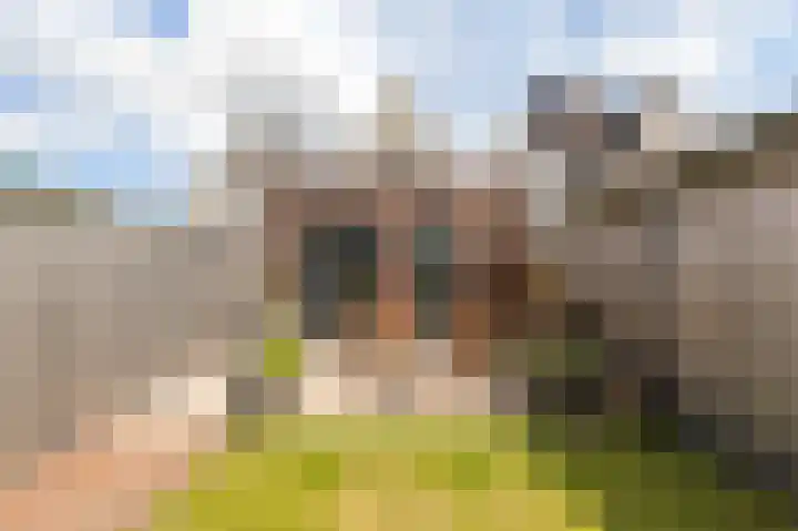 Badhuisstraat 33 Roosendaal thumbnail 41
