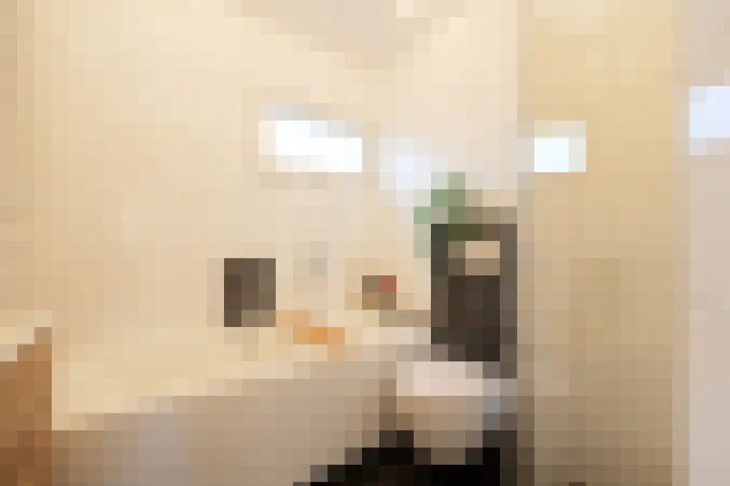 Badhuisstraat 6 Wormer thumbnail 28