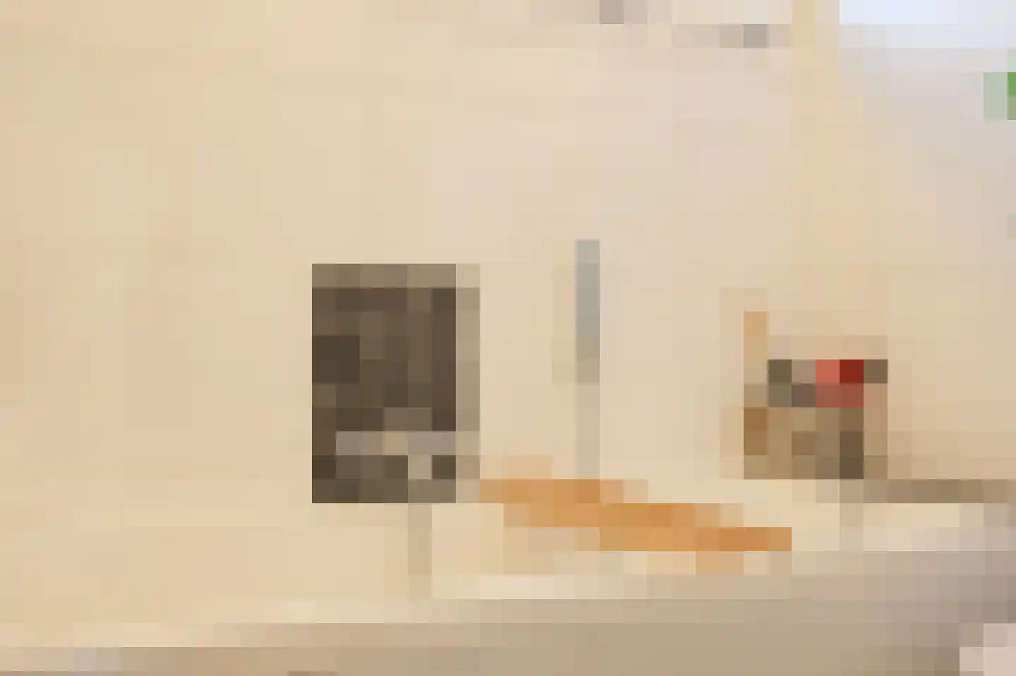 Badhuisstraat 6 Wormer thumbnail 29
