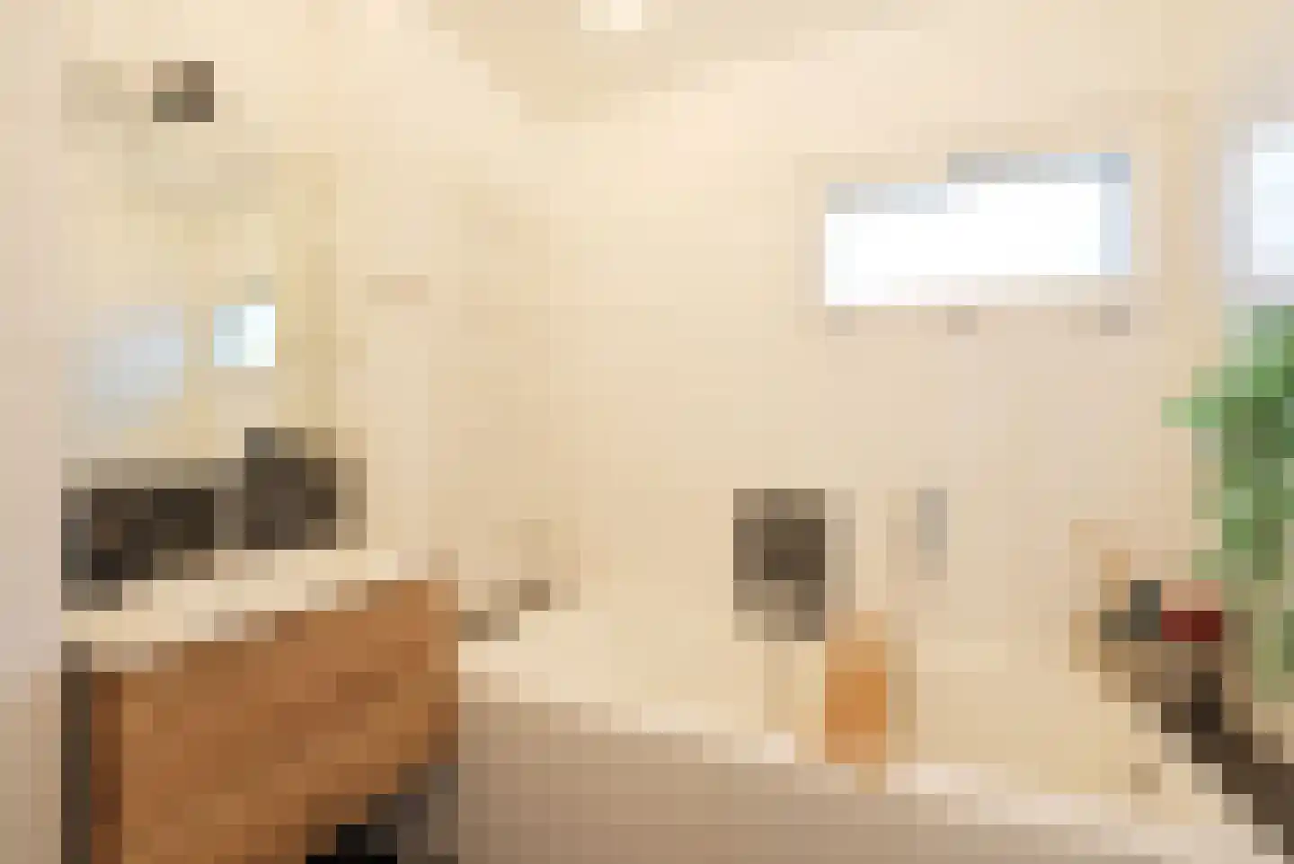Badhuisstraat 6 Wormer thumbnail 30