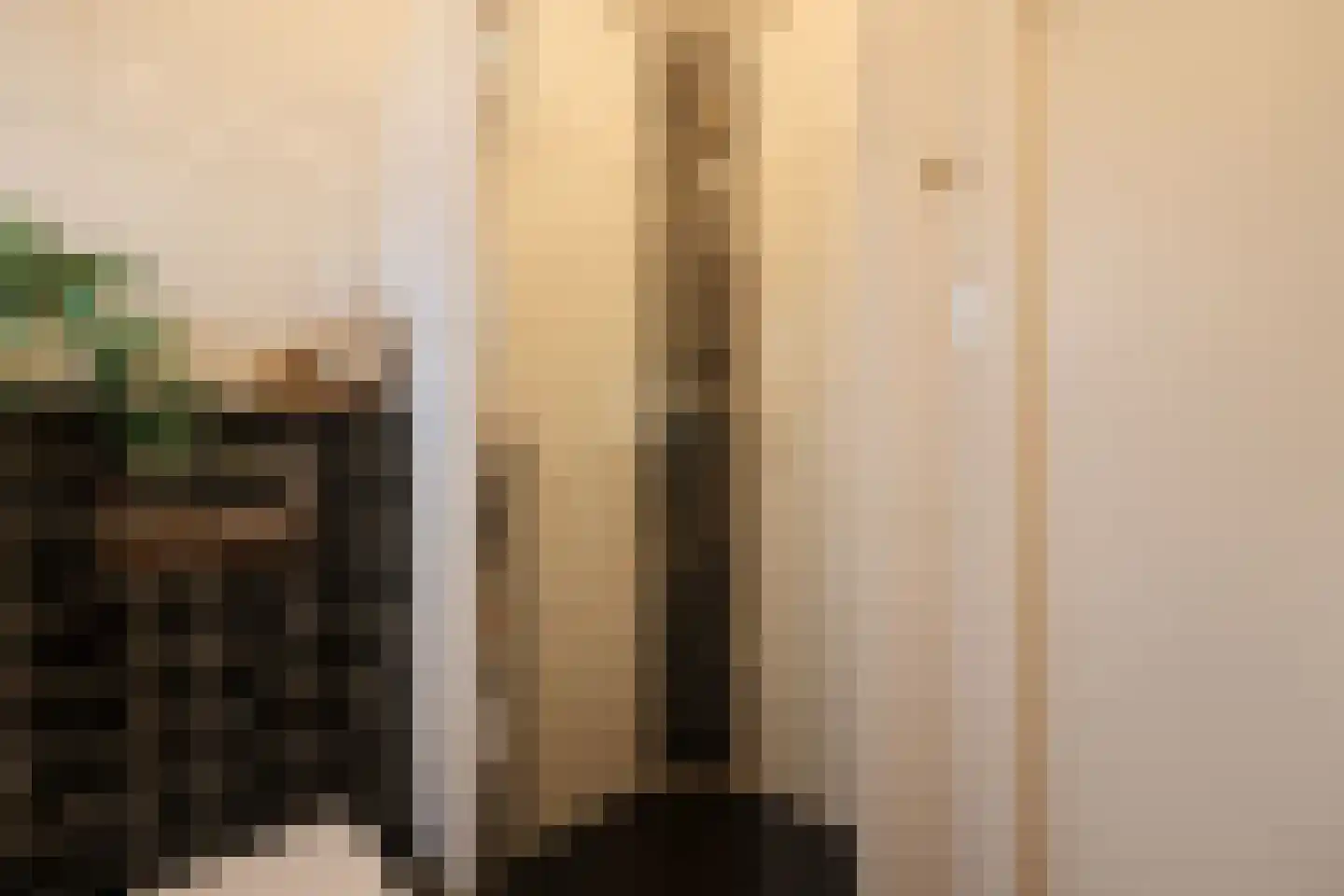 Badhuisstraat 6 Wormer thumbnail 31