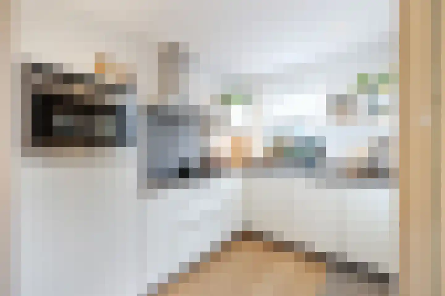 Badhuisstraat 6 Wormer thumbnail 7