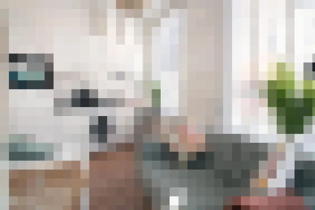 Badhuisstraat 7 Den Haag thumbnail 4