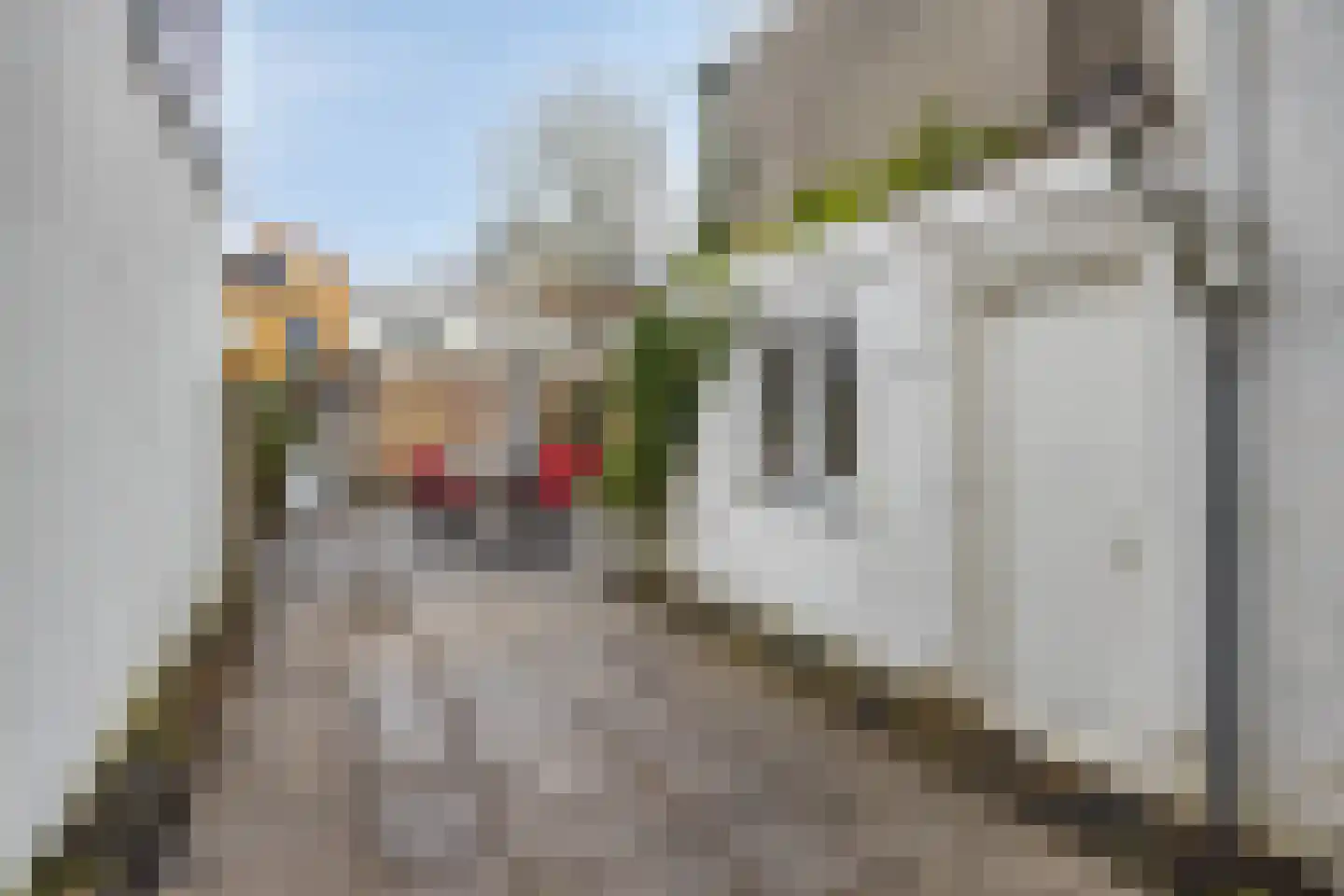 Badhuisstraat 76 Vlissingen thumbnail 20