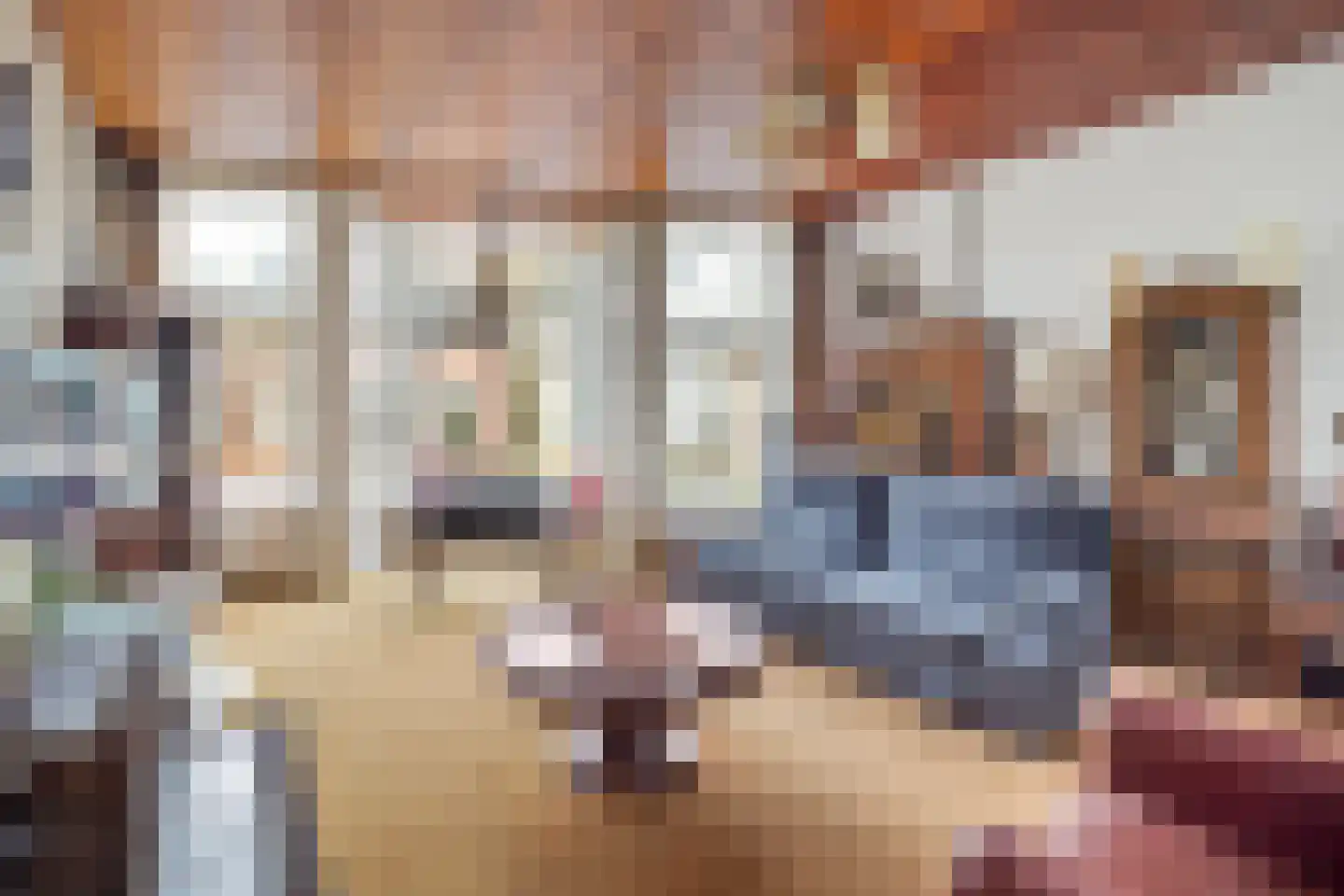 Badhuisstraat 83 Den Haag thumbnail 10