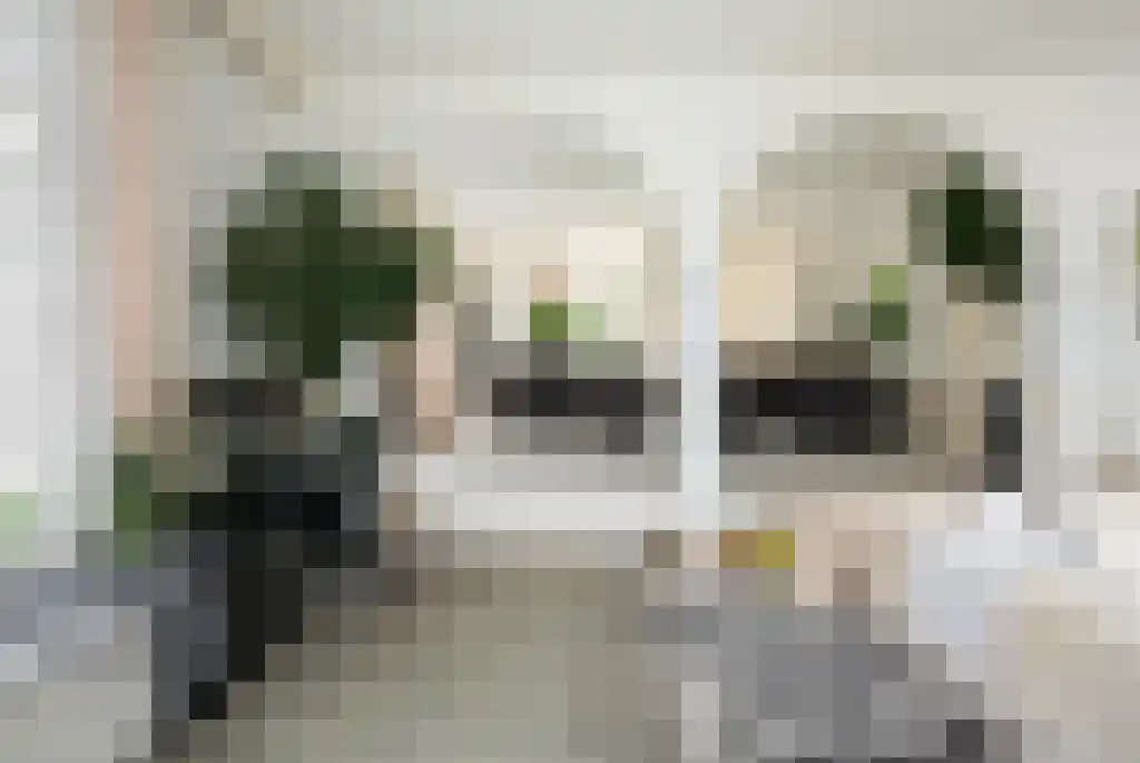 Badhuiswal 8 Zwolle thumbnail 10