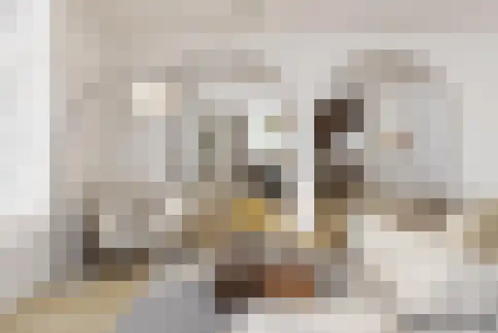 Badhuiswal 8 Zwolle thumbnail 11