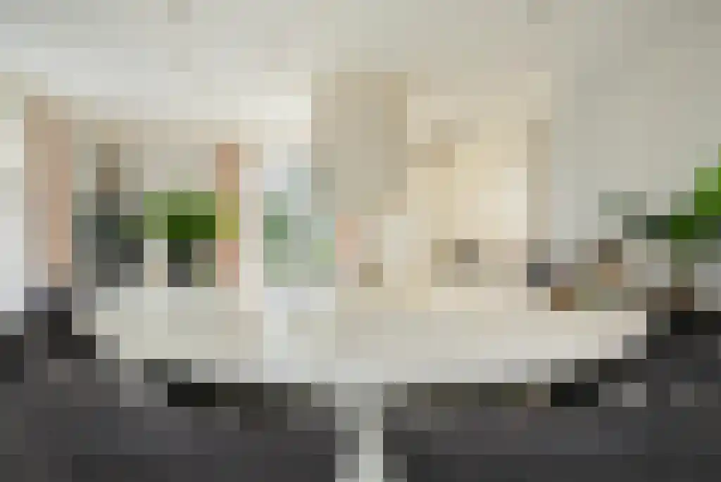 Badhuiswal 8 Zwolle thumbnail 12