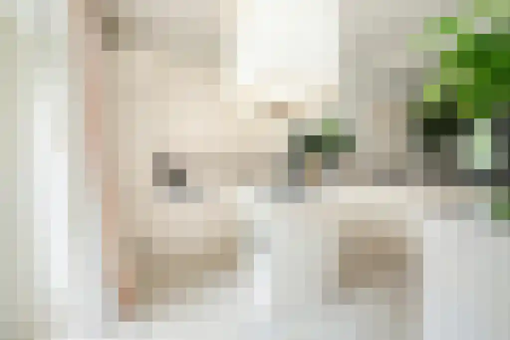 Badhuiswal 8 Zwolle thumbnail 13