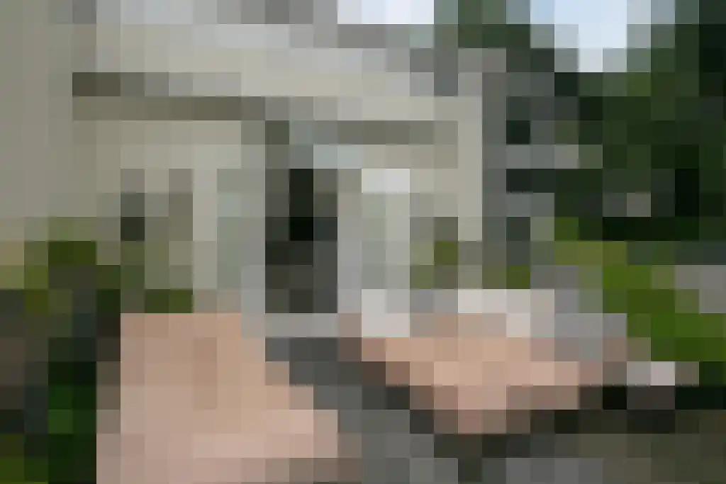 Badhuiswal 8 Zwolle thumbnail 14