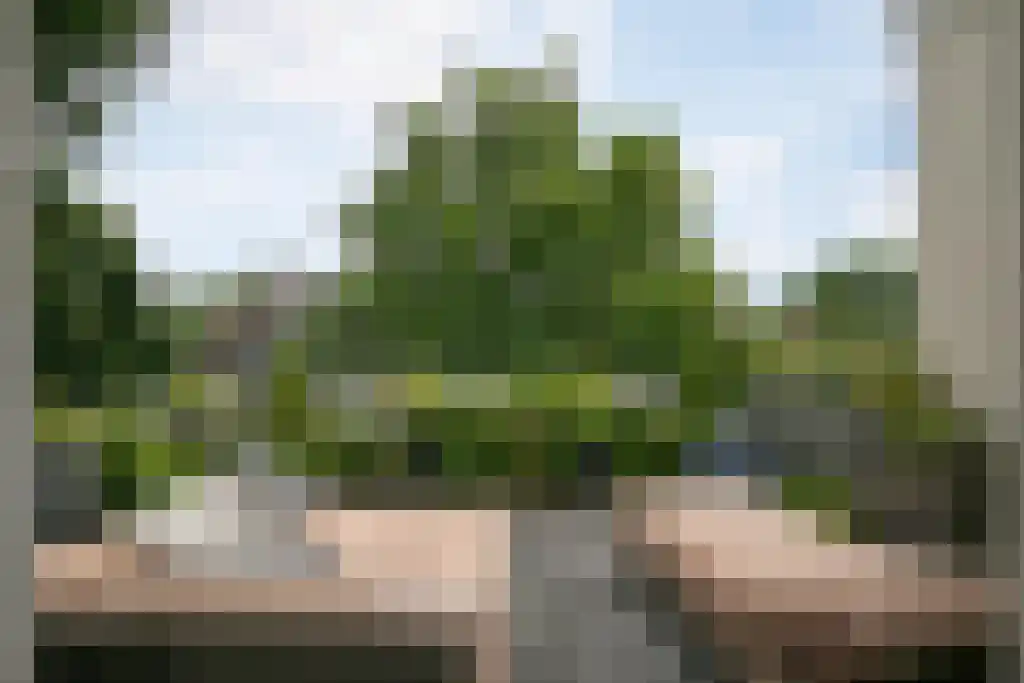 Badhuiswal 8 Zwolle thumbnail 15