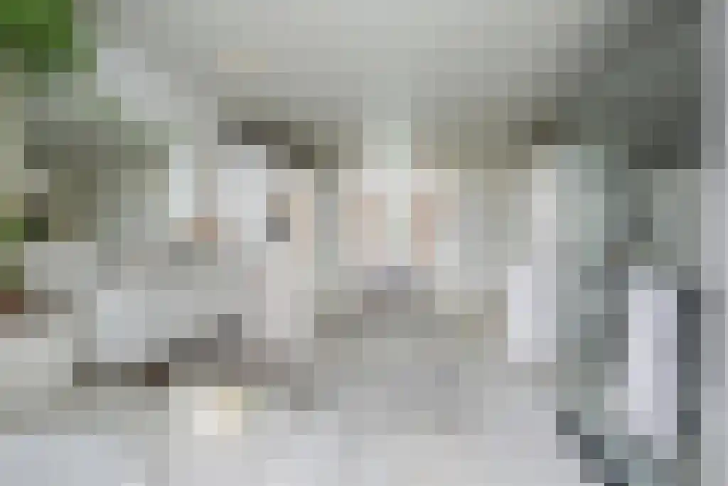 Badhuiswal 8 Zwolle thumbnail 16