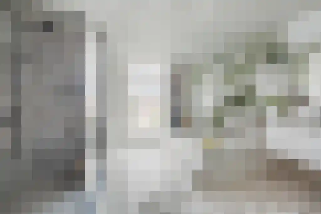 Badhuiswal 8 Zwolle thumbnail 17