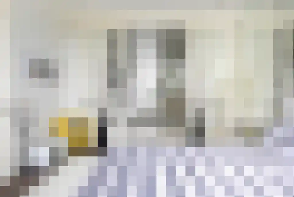 Badhuiswal 8 Zwolle thumbnail 20