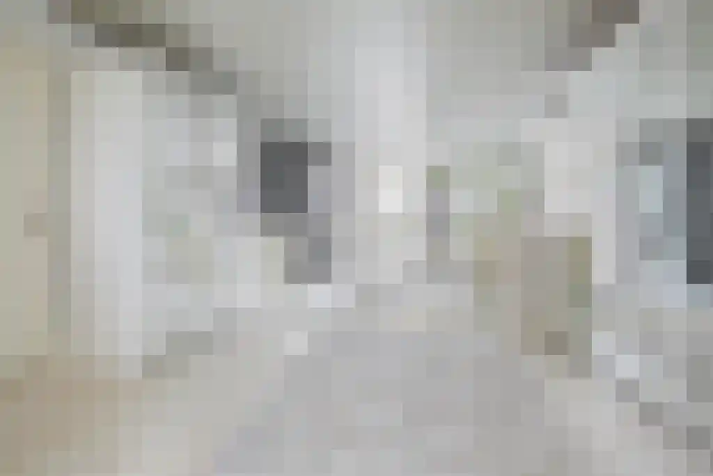 Badhuiswal 8 Zwolle thumbnail 21