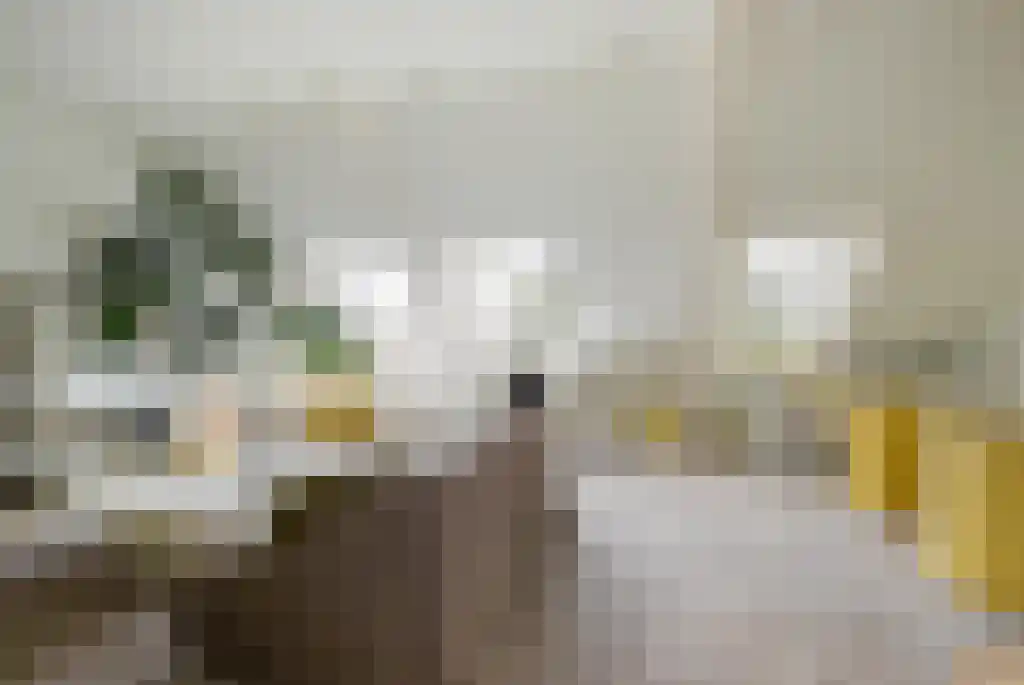 Badhuiswal 8 Zwolle thumbnail 25