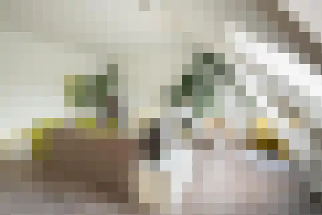 Badhuiswal 8 Zwolle thumbnail 26