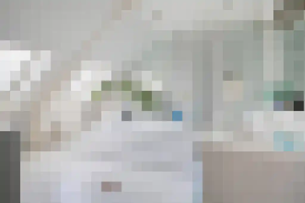 Badhuiswal 8 Zwolle thumbnail 30