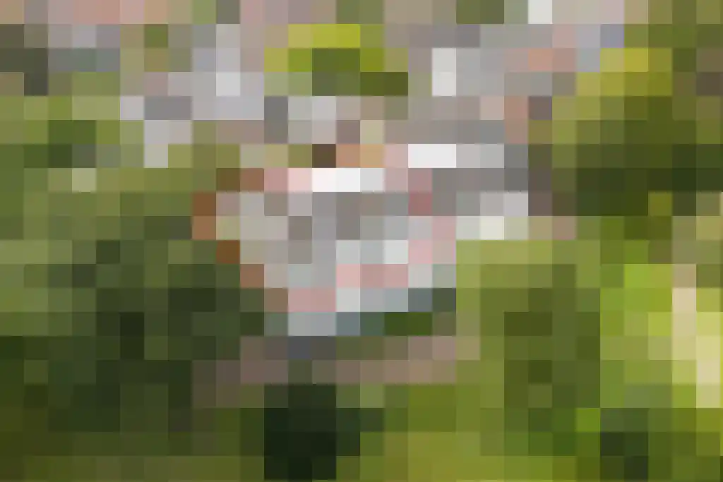 Badhuiswal 8 Zwolle thumbnail 34
