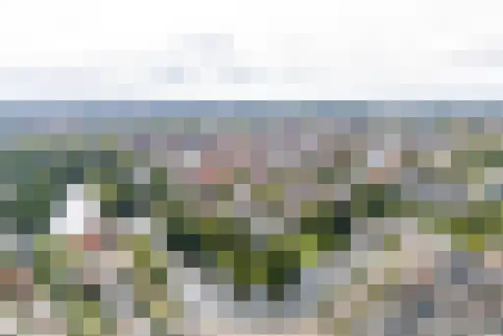 Badhuiswal 8 Zwolle thumbnail 35