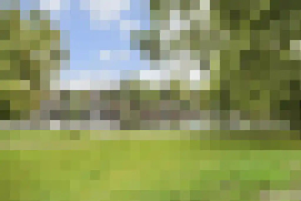 Badhuiswal 8 Zwolle thumbnail 4
