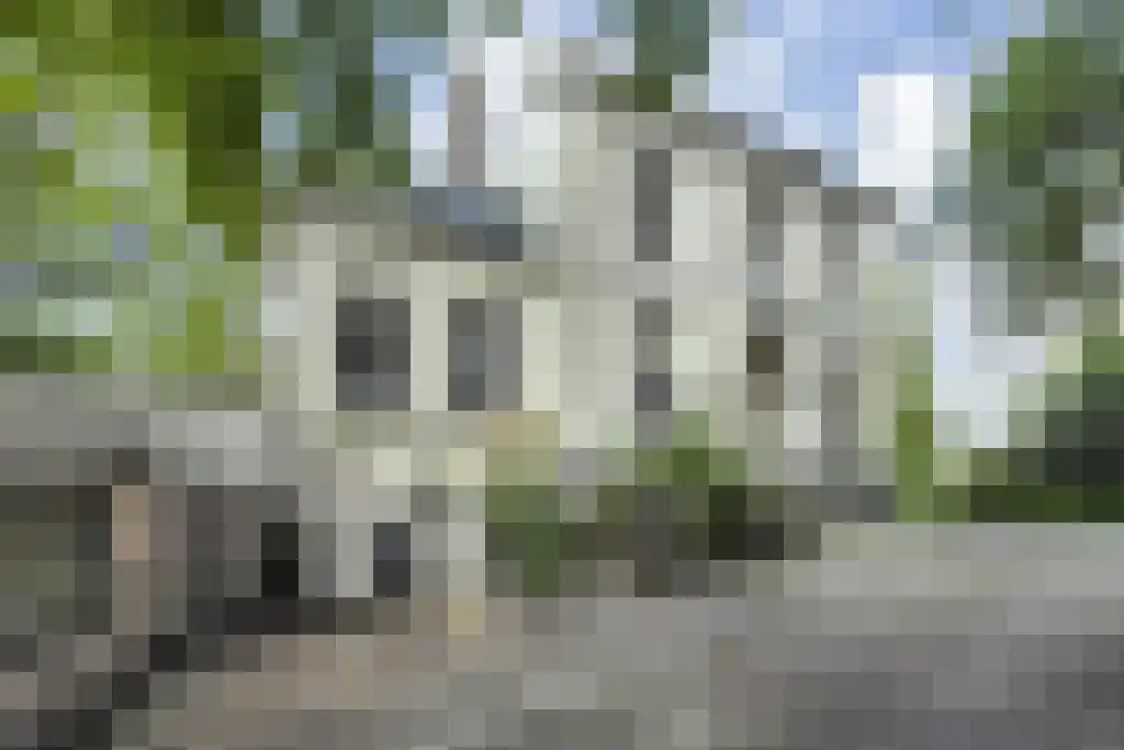 Badhuiswal 8 Zwolle thumbnail 5
