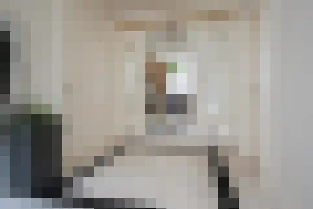 Badhuiswal 8 Zwolle thumbnail 7