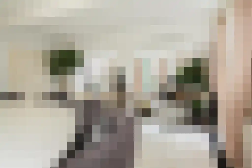 Badhuiswal 8 Zwolle thumbnail 8