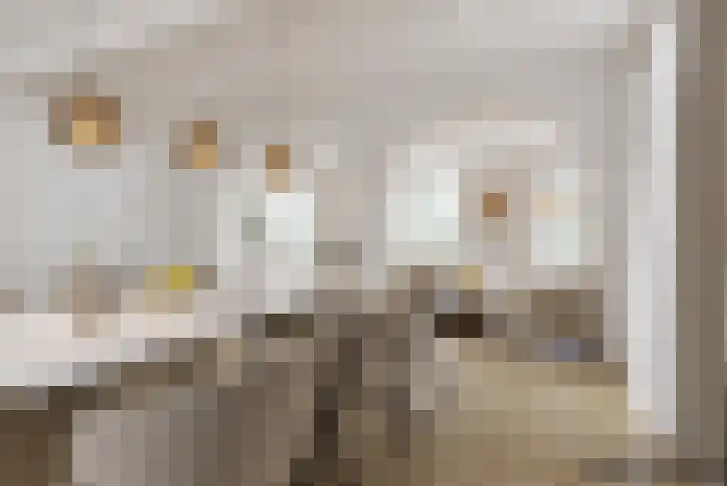 Badhuiswal 8 Zwolle thumbnail 9
