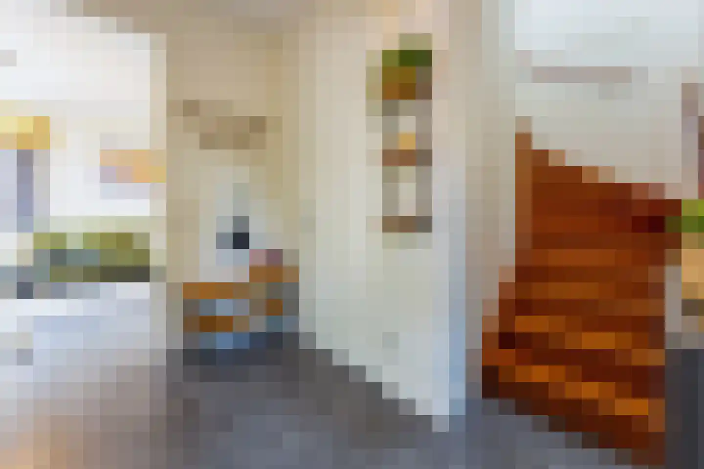Badhuisweg 1 P Cadzand thumbnail 11