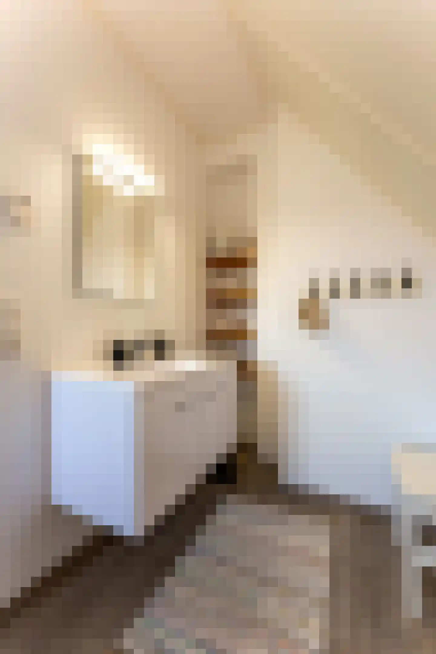 Badhuisweg 1 P Cadzand thumbnail 22