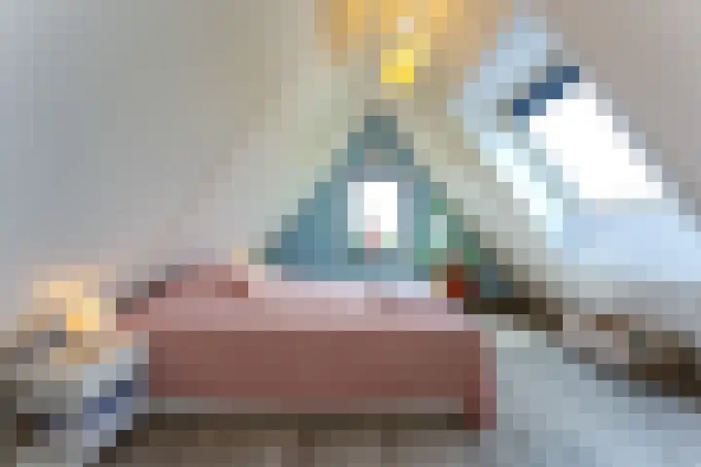 Badhuisweg 1 P Cadzand thumbnail 25
