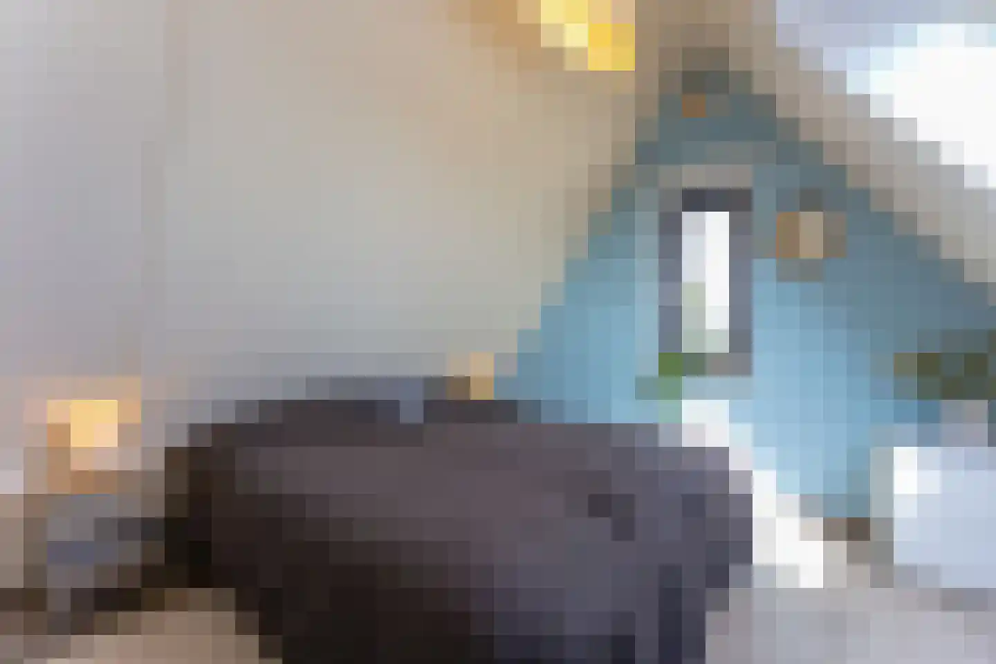 Badhuisweg 1 P Cadzand thumbnail 26