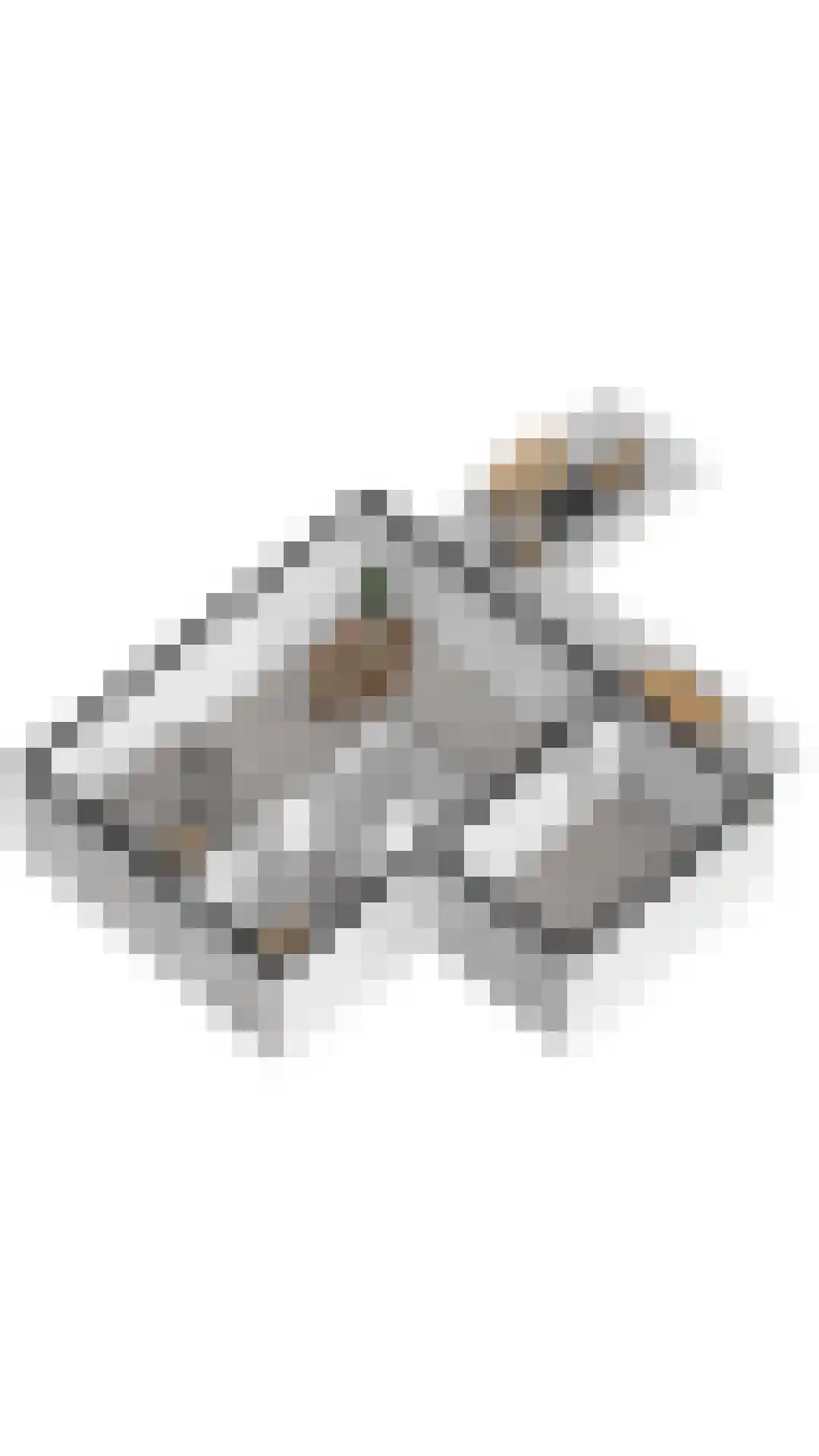 Badhuisweg 1 P Cadzand thumbnail 39